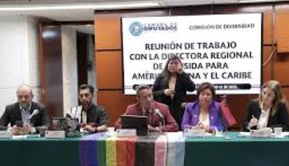 COMISIÓN DE DIVERSIDAD SE REÚNE CON REPRESENTANTES DE ONUSIDA PARA AMÉRICA LATINA